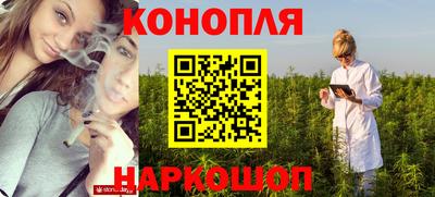 гашик Кунгур