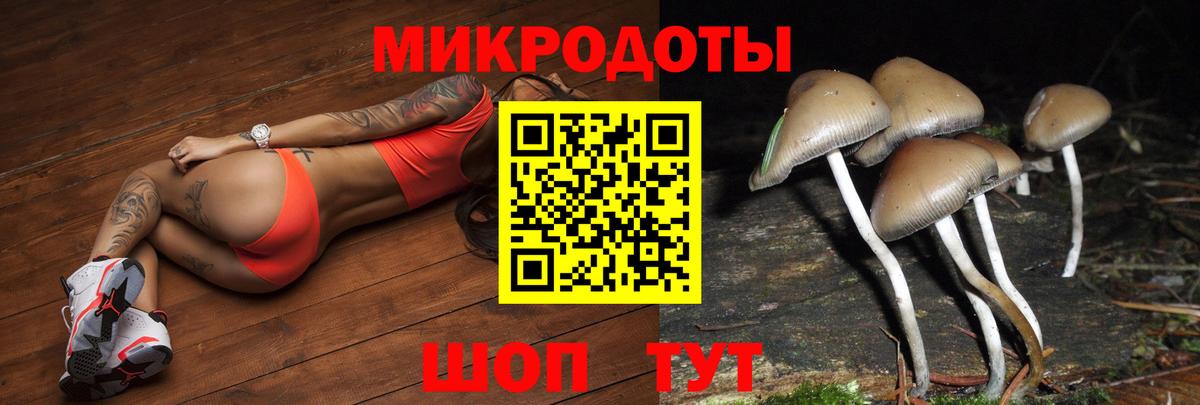 Псилоцибиновые грибы GOLDEN TEACHER  Вход с VPN  Галлюциногенные грибы Psilocybe  Чусовой 
